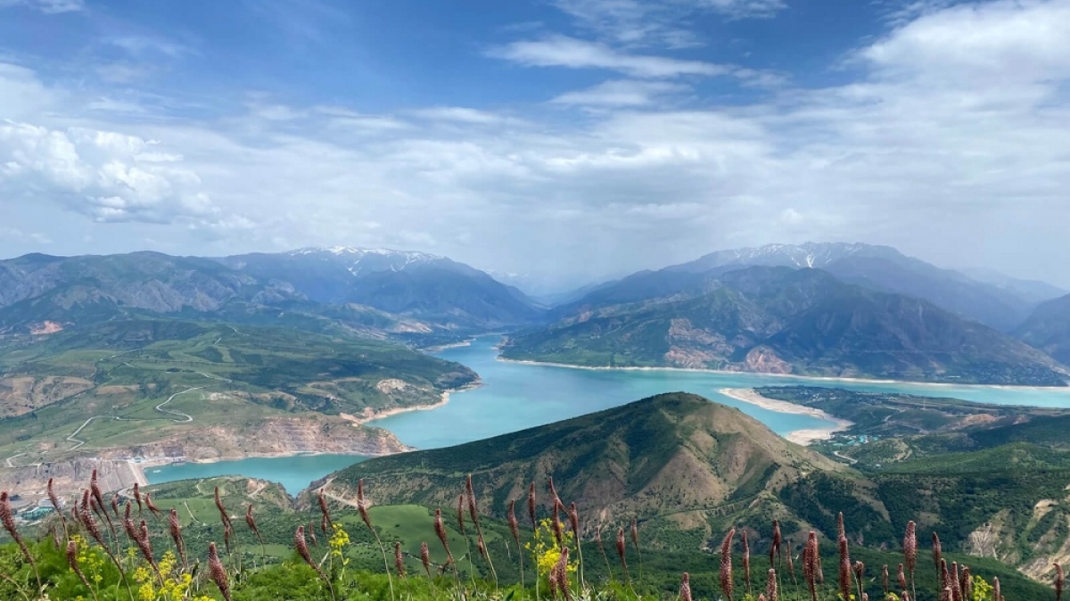 Фото: Nodir Khalilov, unsplash.com