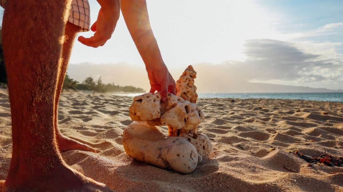 Источник: pxhere.com