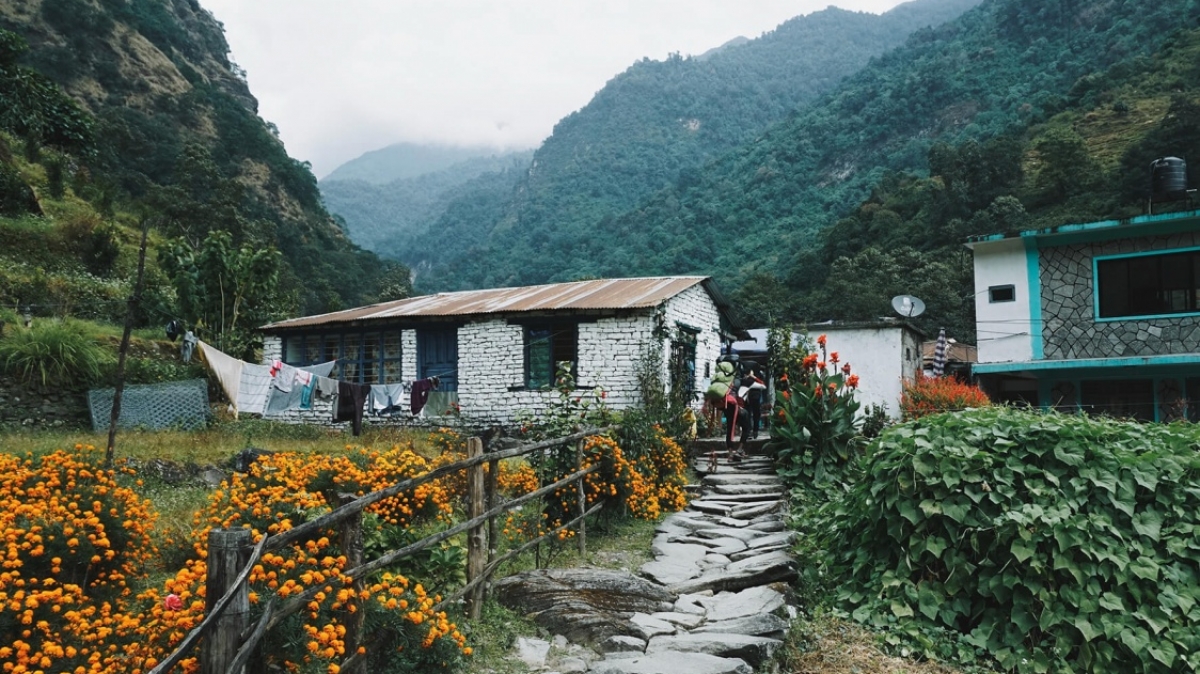 Фото: Iqx Azmi, unsplash.com