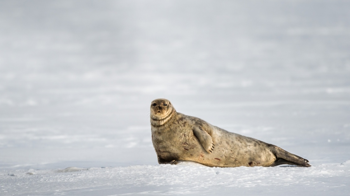 Фото: Сергей Доля