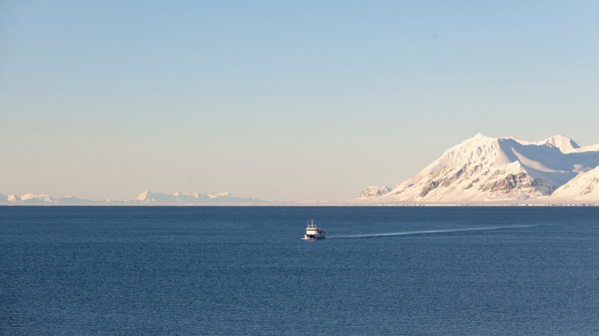 Фото: Куплевацкий
