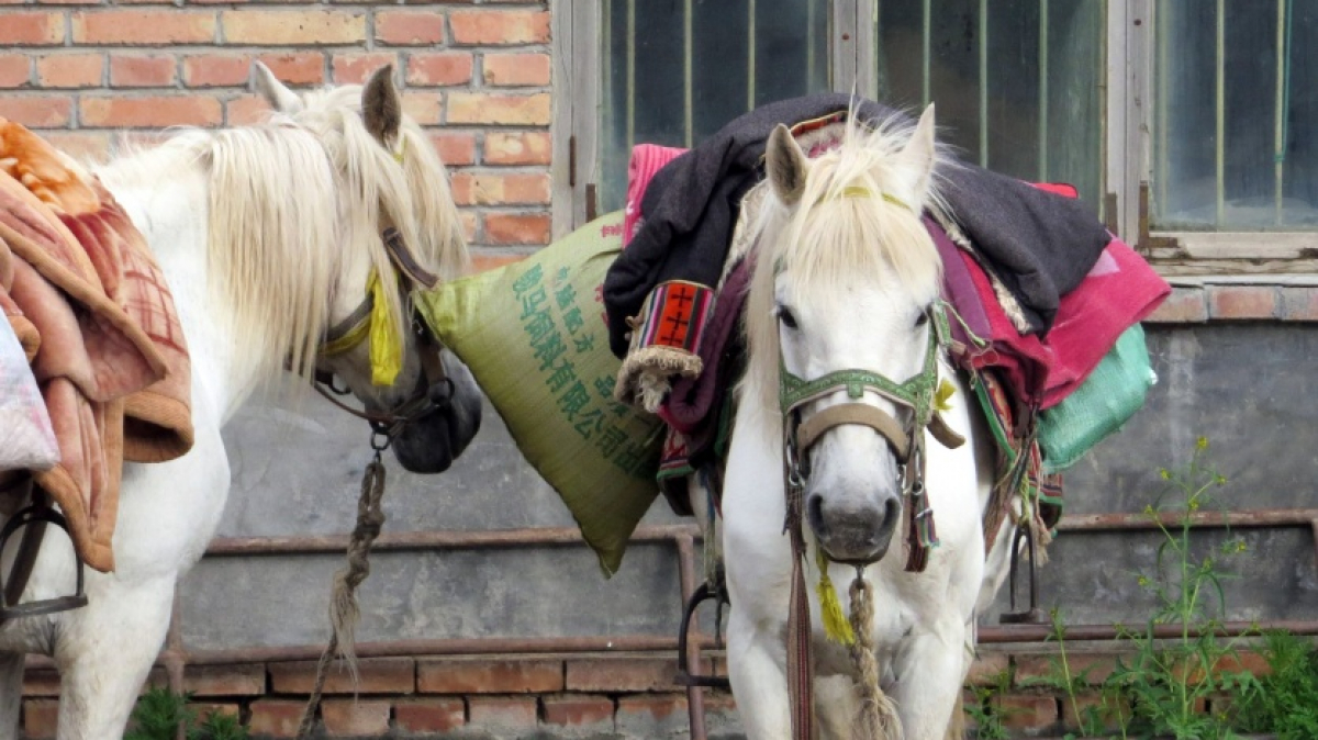 Фото нашего гида Дмитрия Эскина