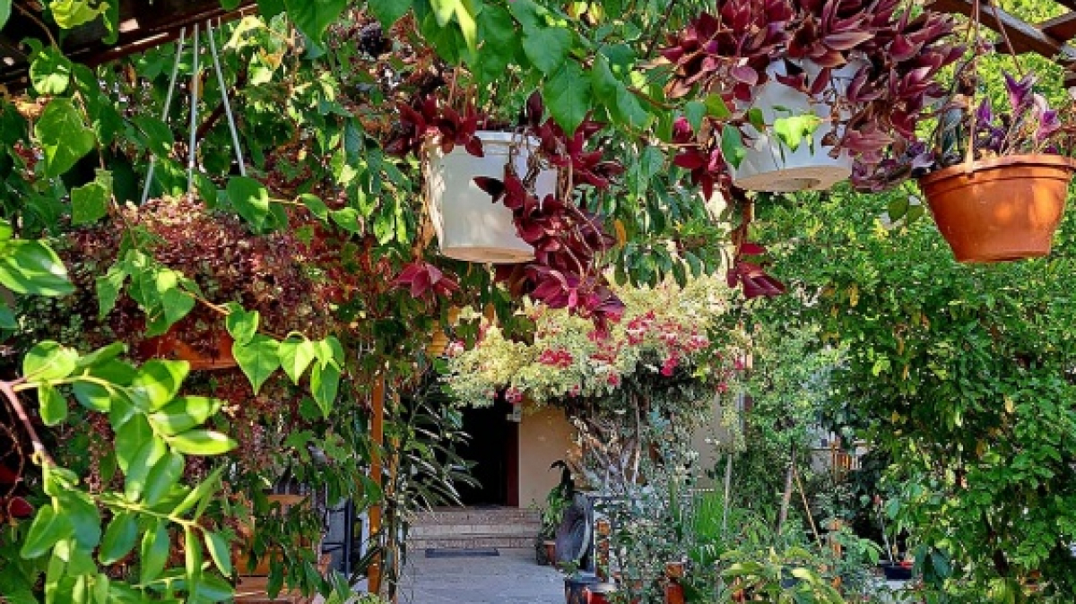 Фото Ирины Хюгли