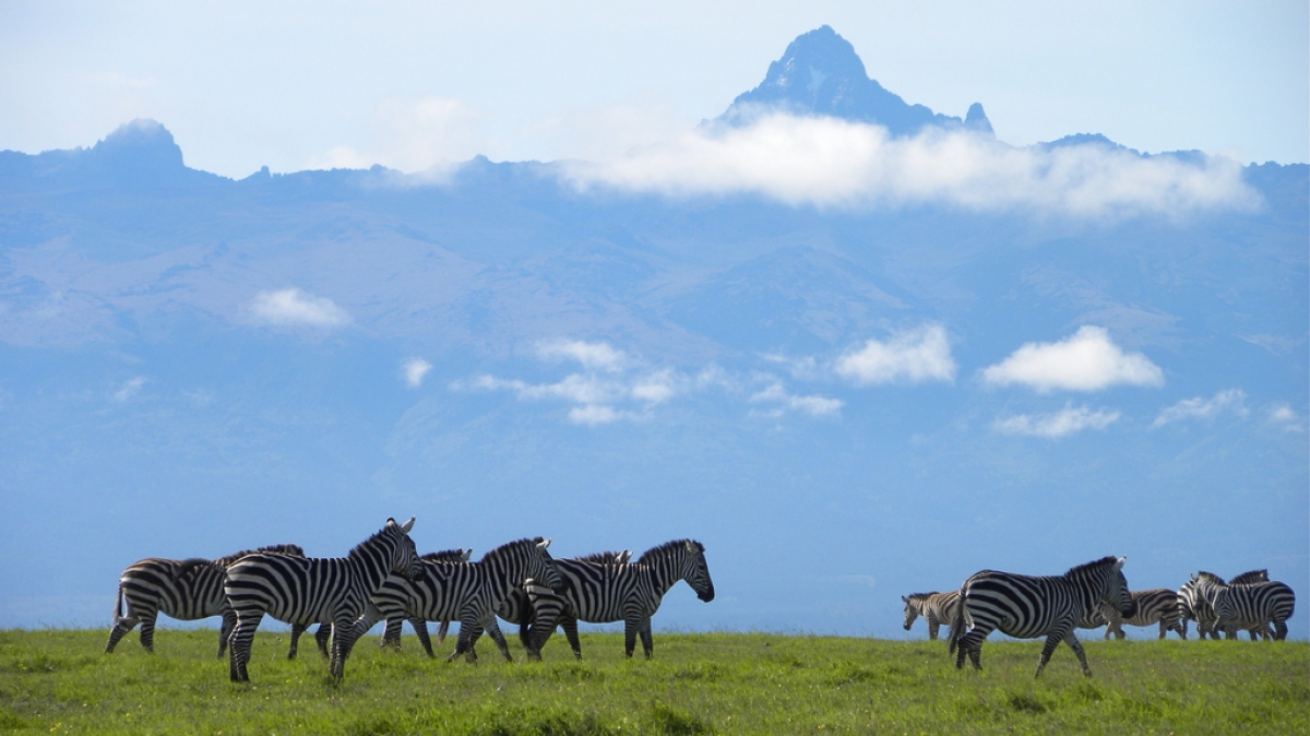 Фото: kimvanderwaal, visualhunt.com