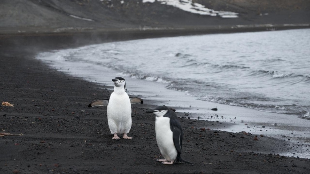 Christopher.Michel on VisualHunt