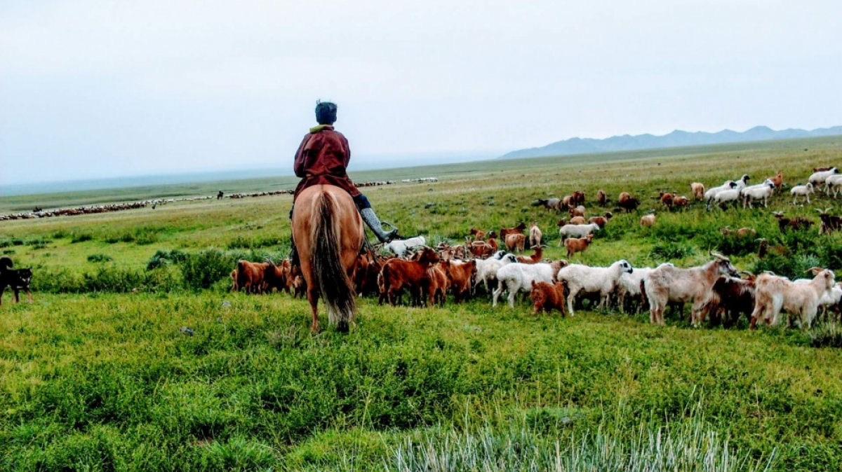 Фото: uneke-ub on unsplash