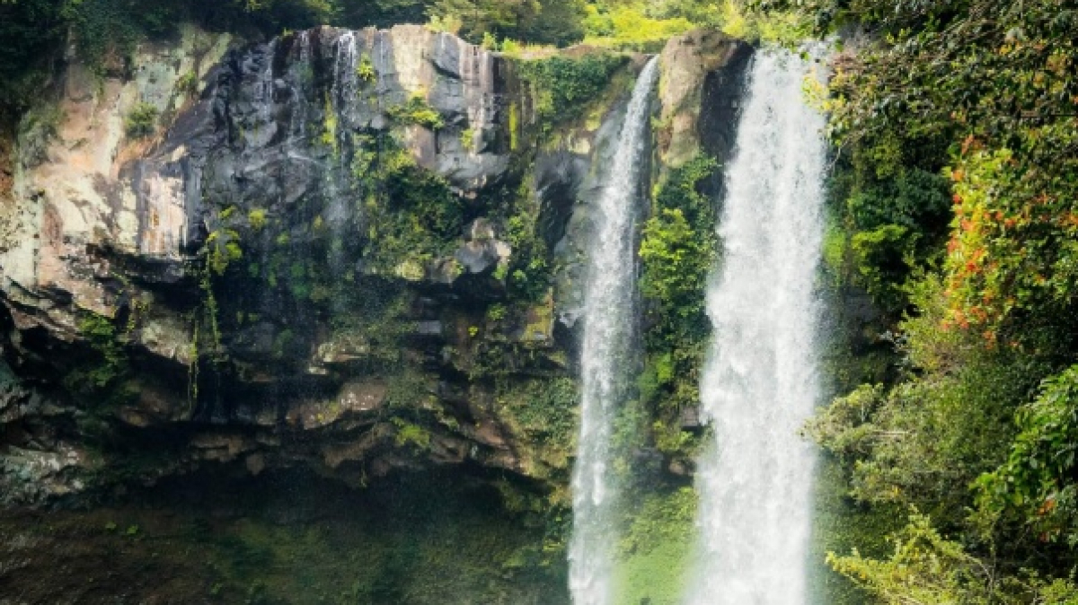 Фото: Kaylyn Mok, Unsplash