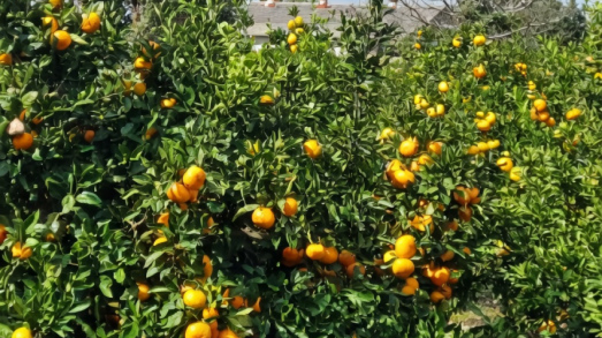 Фото нашего гида Лики Майстровой