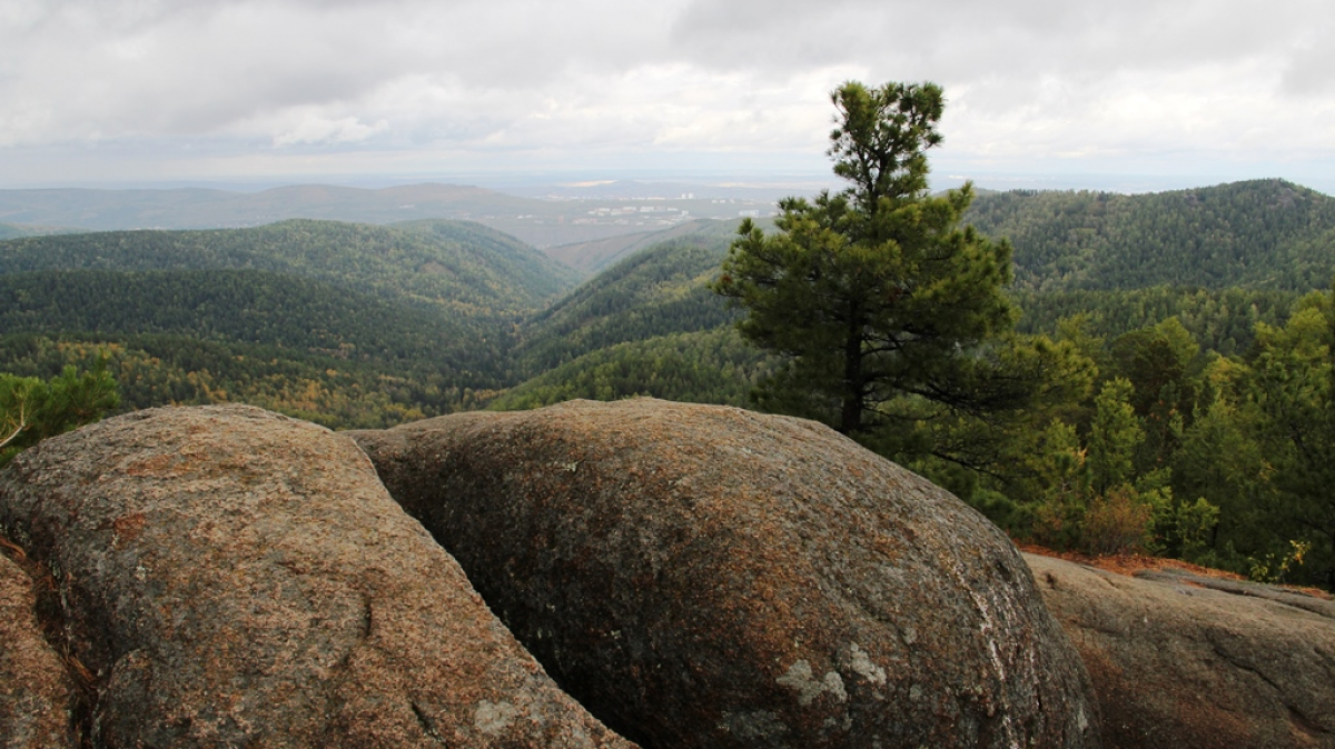 Фото Вероники Кузенковой