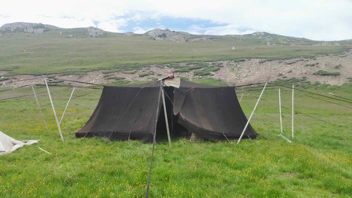 Фото нашего гида Дмитрия Эскина