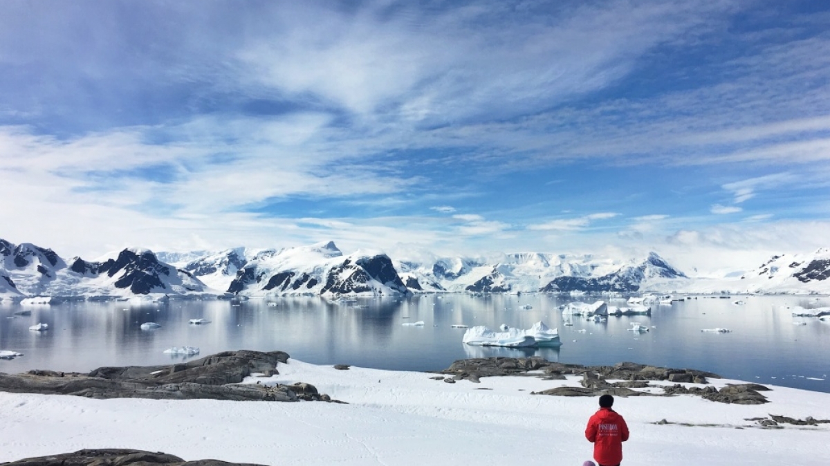 Фото: Cassie Matias, unsplash.com