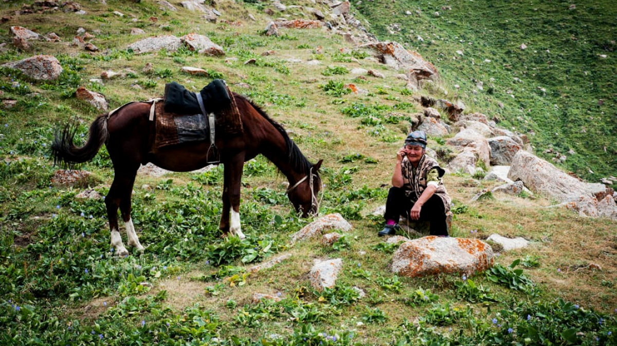 Фото: joel heard on unsplash