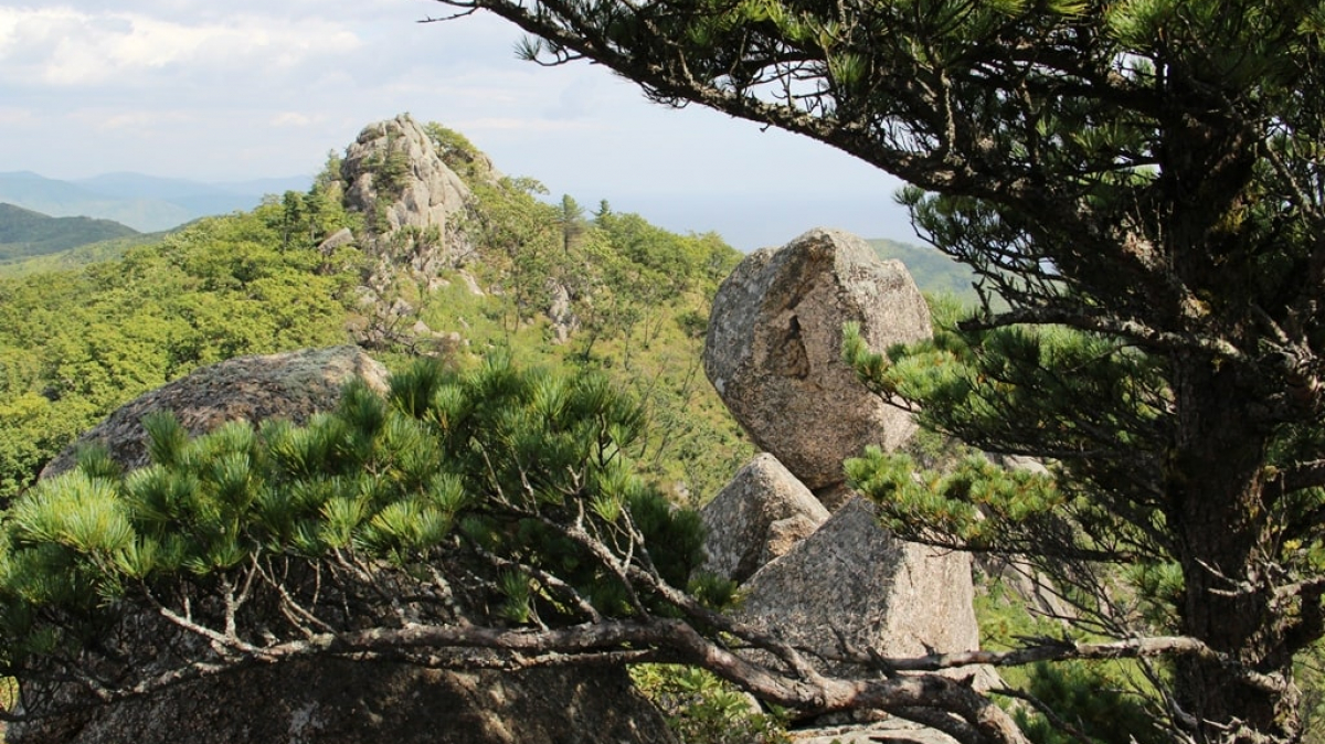 Фото Вероники Кузенковой