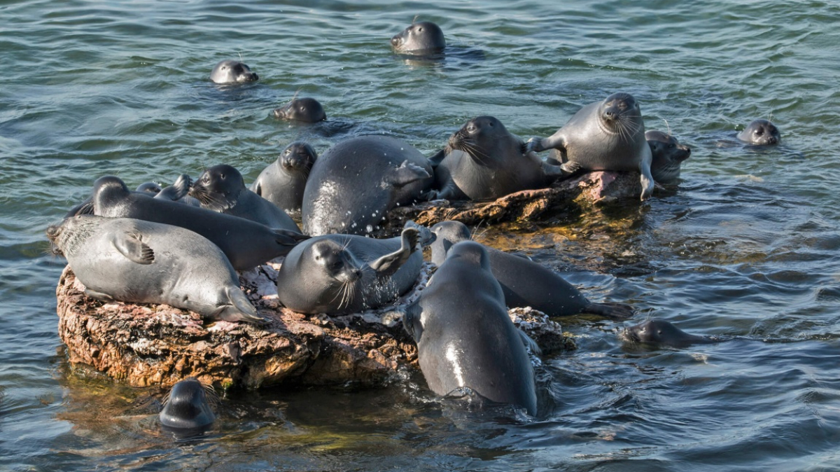 Фото нашего гида Андрея Таничева