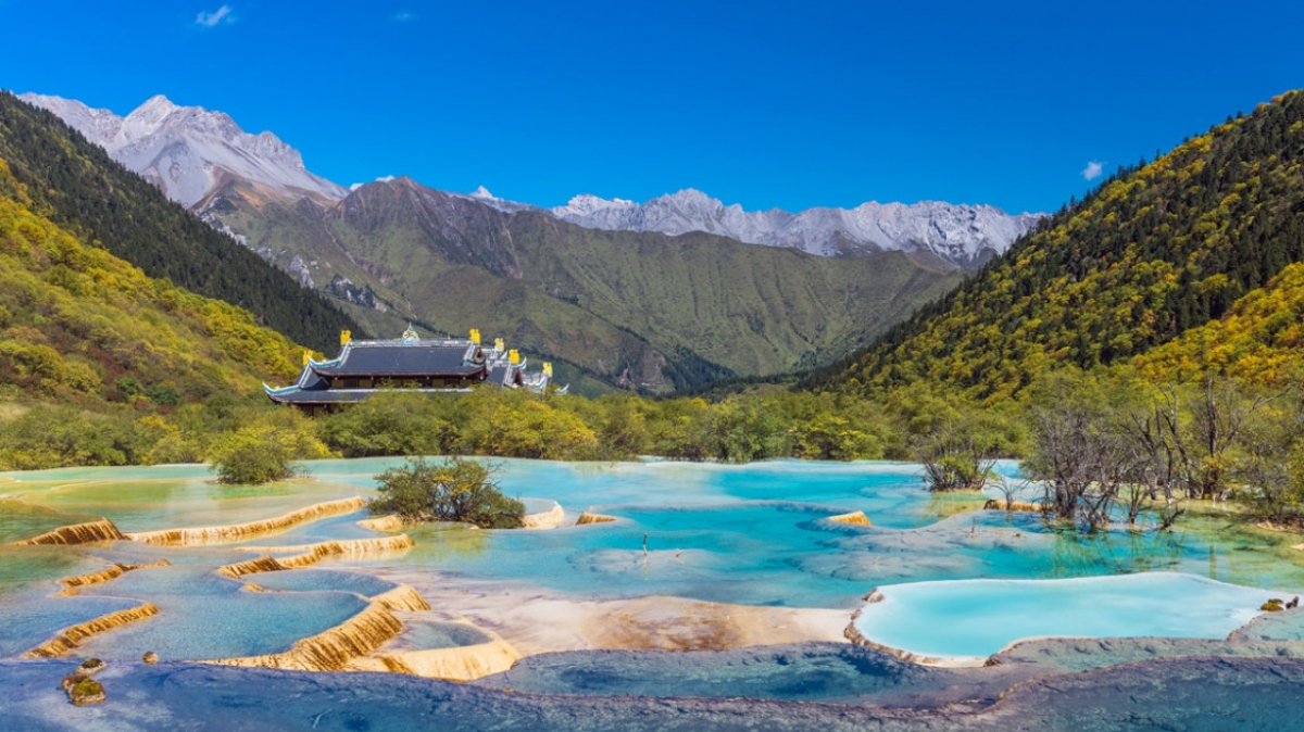 Фото: mihaiulia on Shutterstock