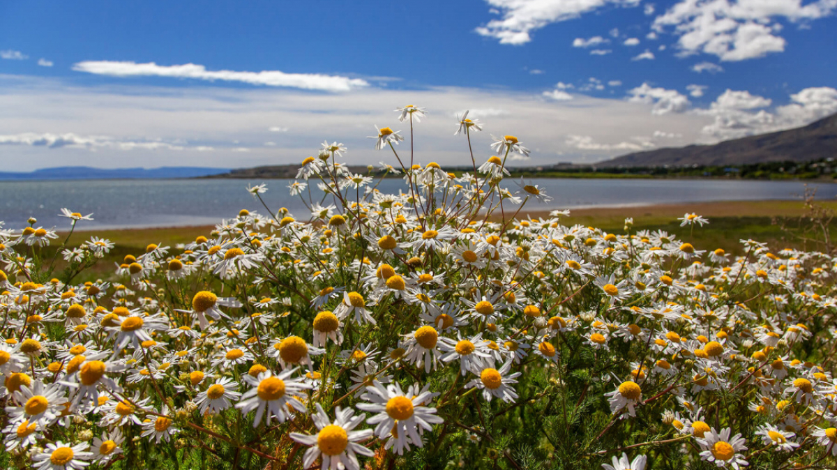 Фото нашей Странницы Татьяны Руновой