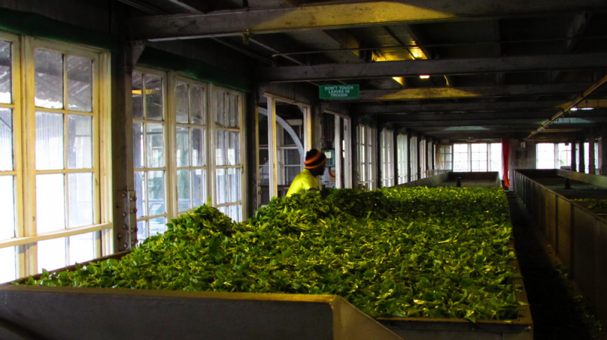 Фото нашего гида Лики Майстровой