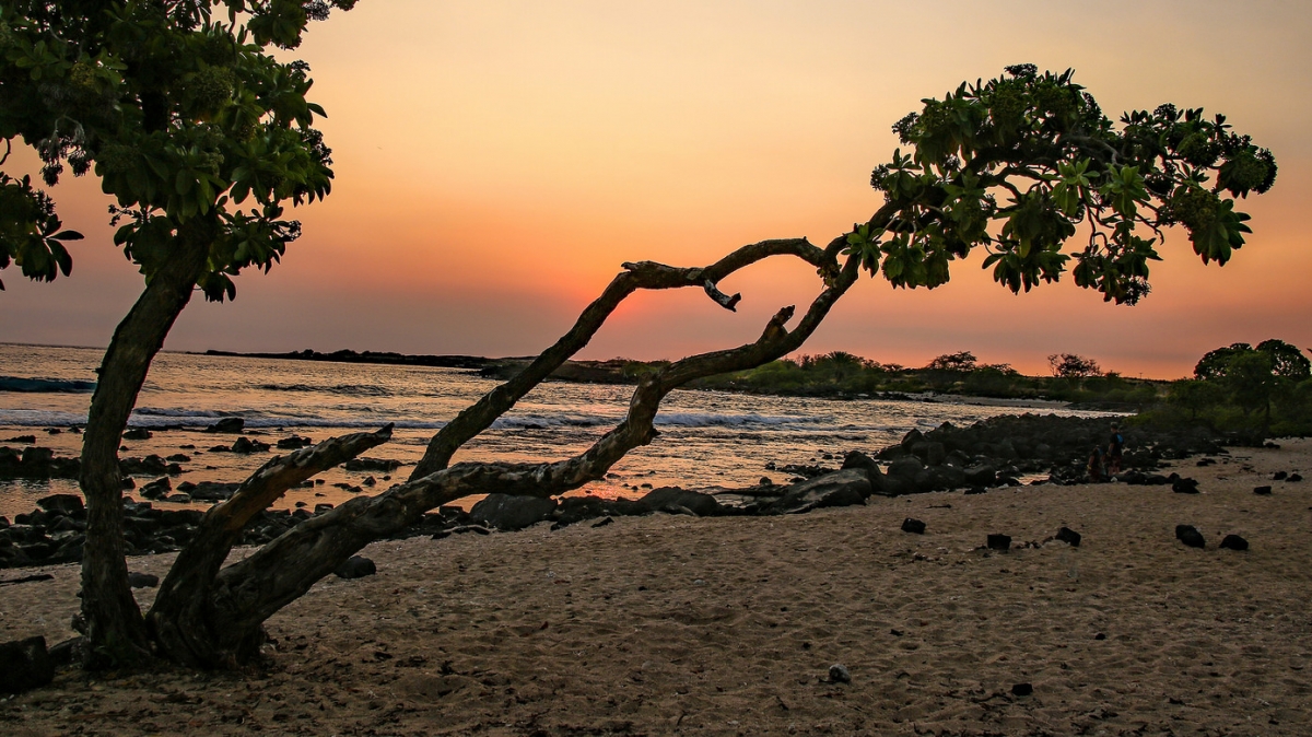 Автор: Rennett Stowe, источник: visualhunt.com