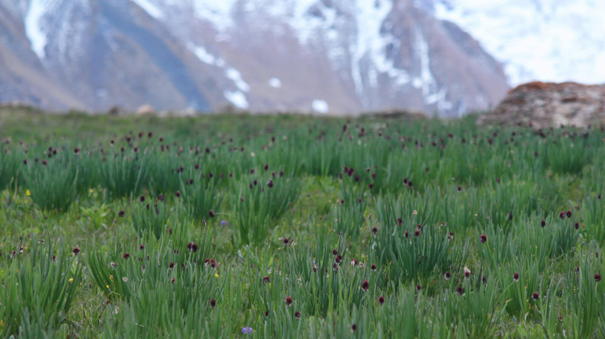 Фото из архива Клуба