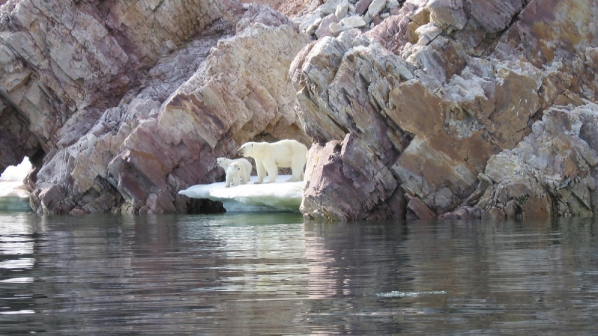 Фото: Alastair Rae, visualhunt.com