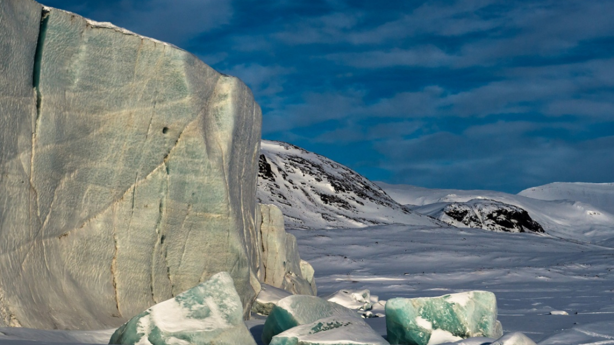 Фото: Сергей Доля