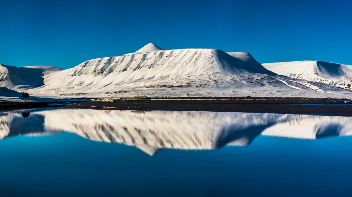 Фото: Сергей Доля