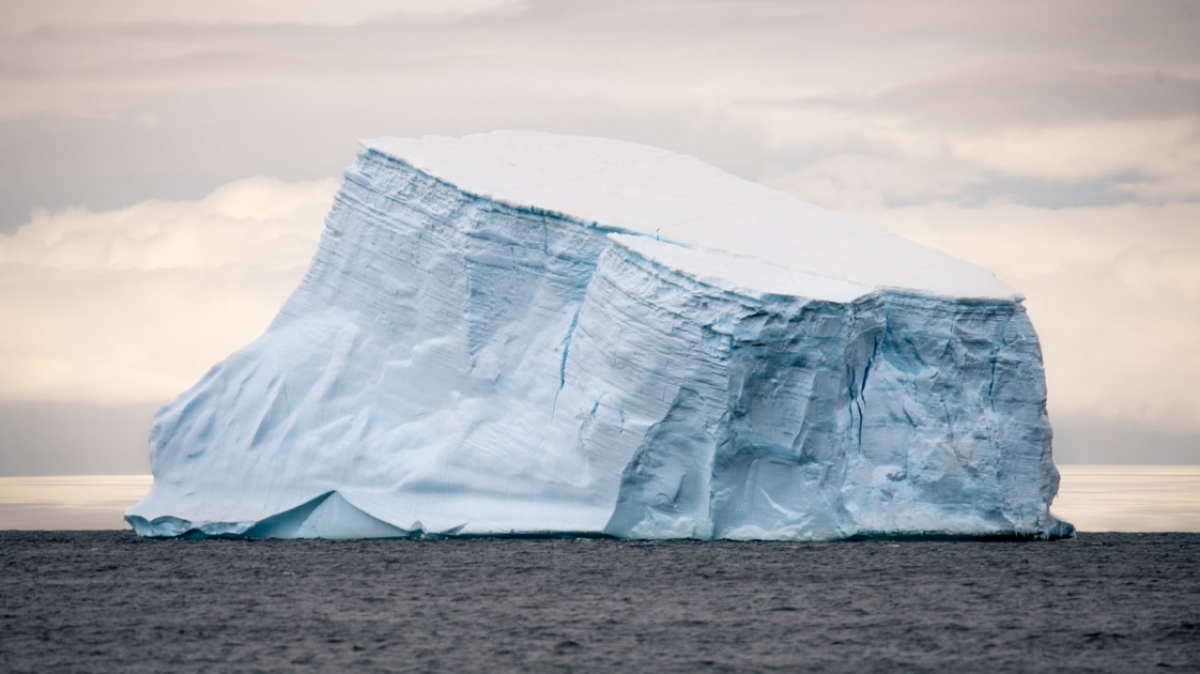 Фото: Hubert Neufeld, unsplash.com