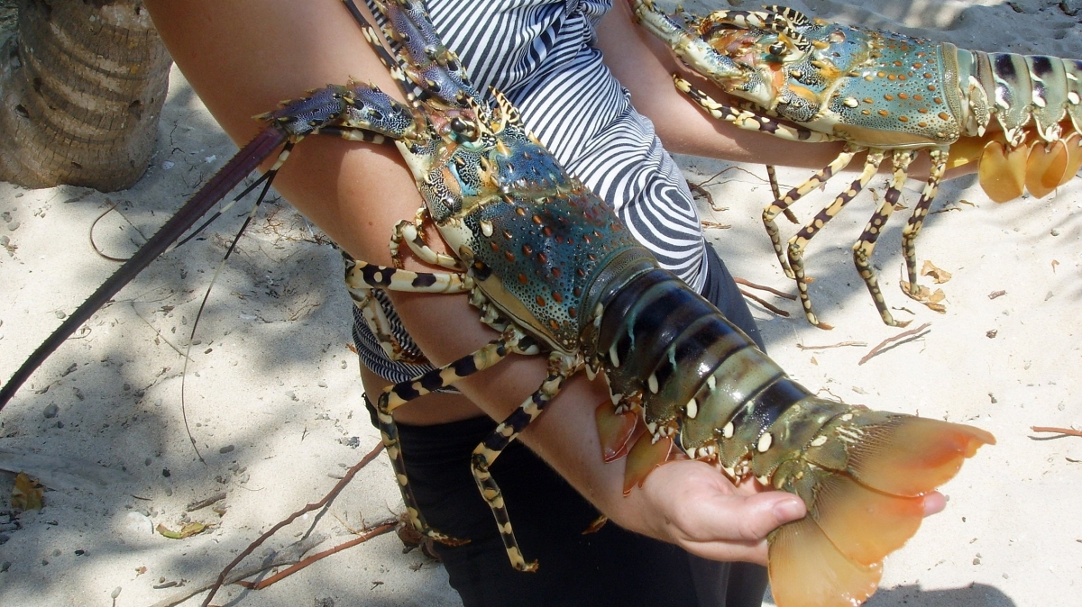 Фото: Barni, visualhunt.com