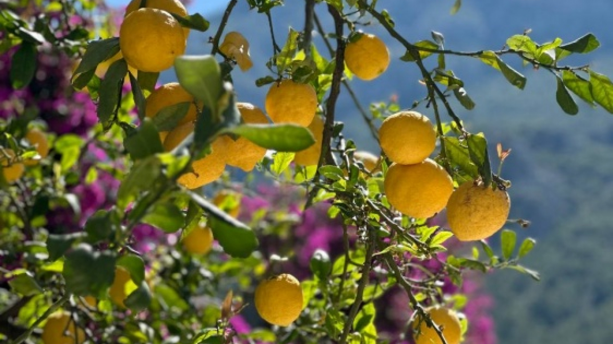 Фото нашей Странницы Ирины Боровиковой