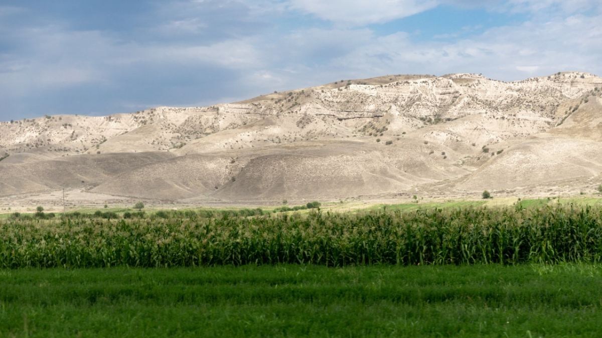 Фото: Ninara on VisualHunt