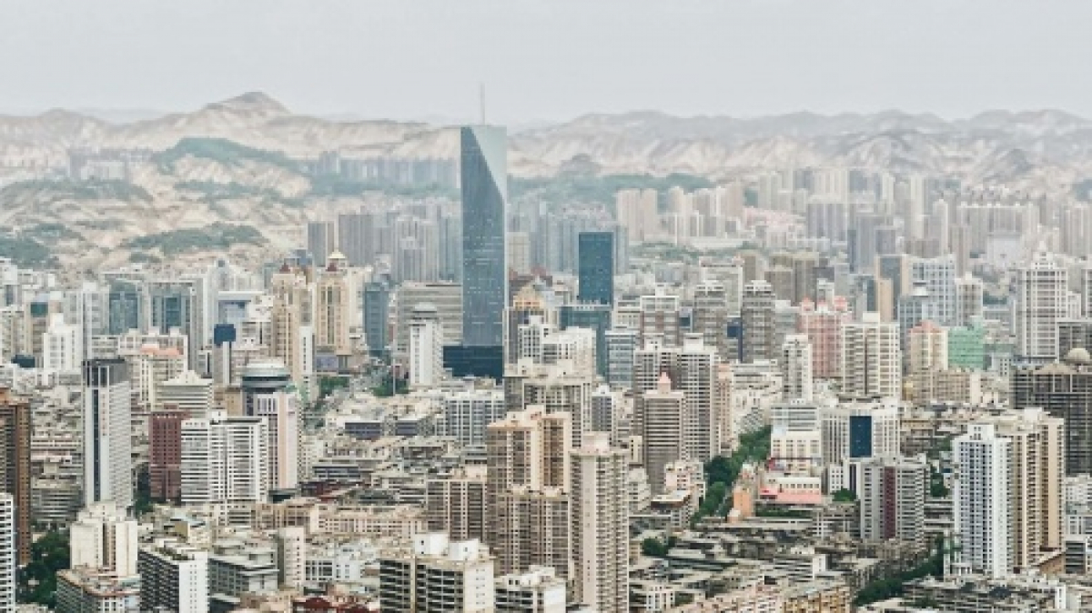 Фото: shawn xu on unsplash