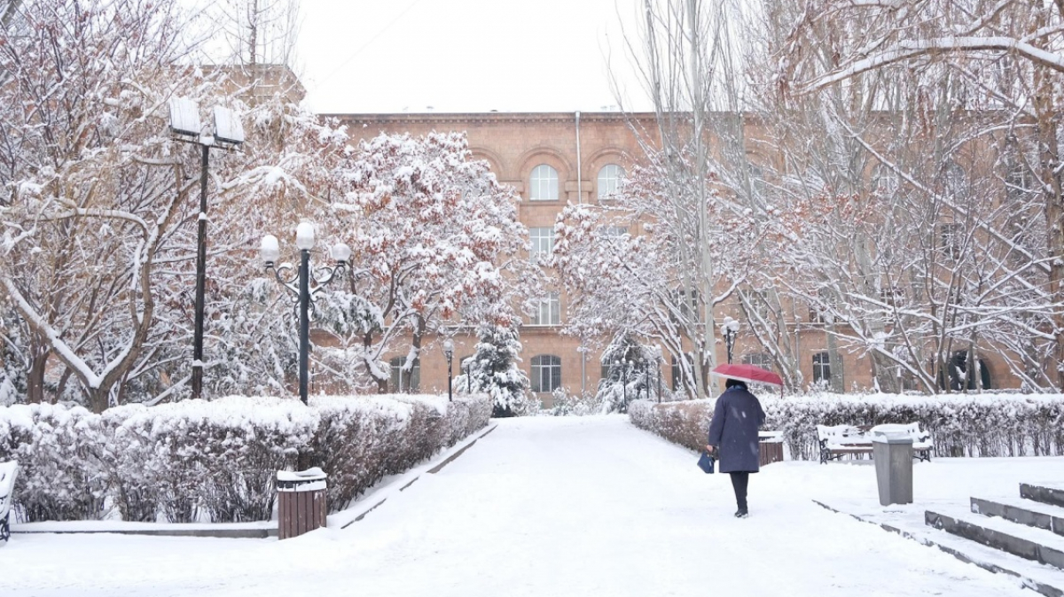 Фото: Karine Avetisyan, unsplash.com