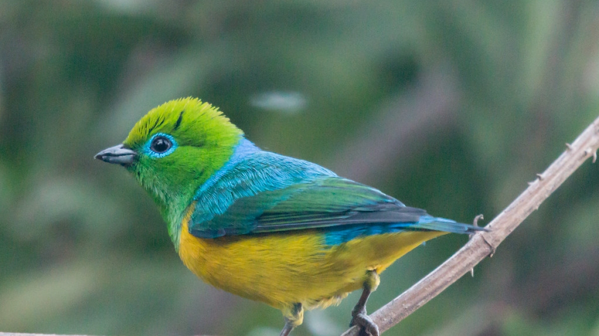 Источник фото: timsackton on VisualHunt