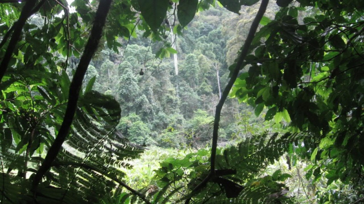 Фото: andresfib, visualhunt.com