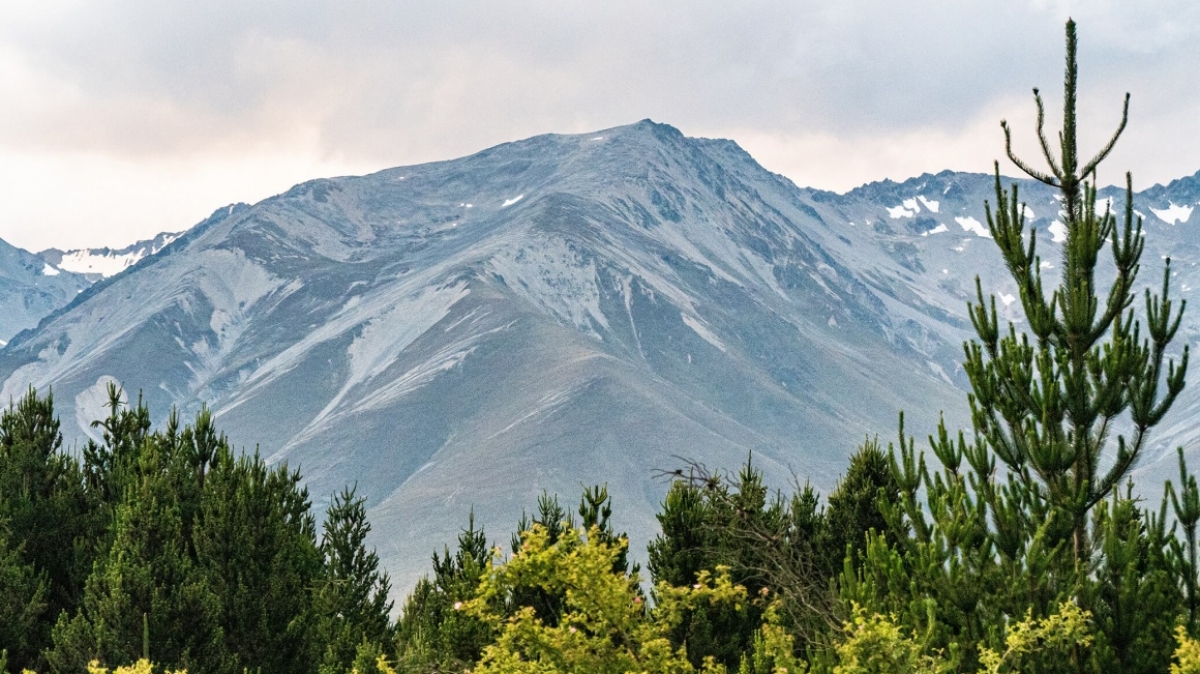 Фото: Tonia Kraakman, unsplash.com