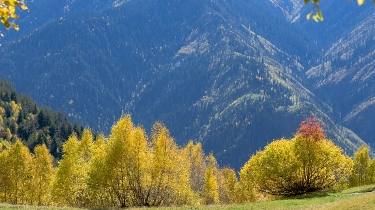 Фото наших Странников