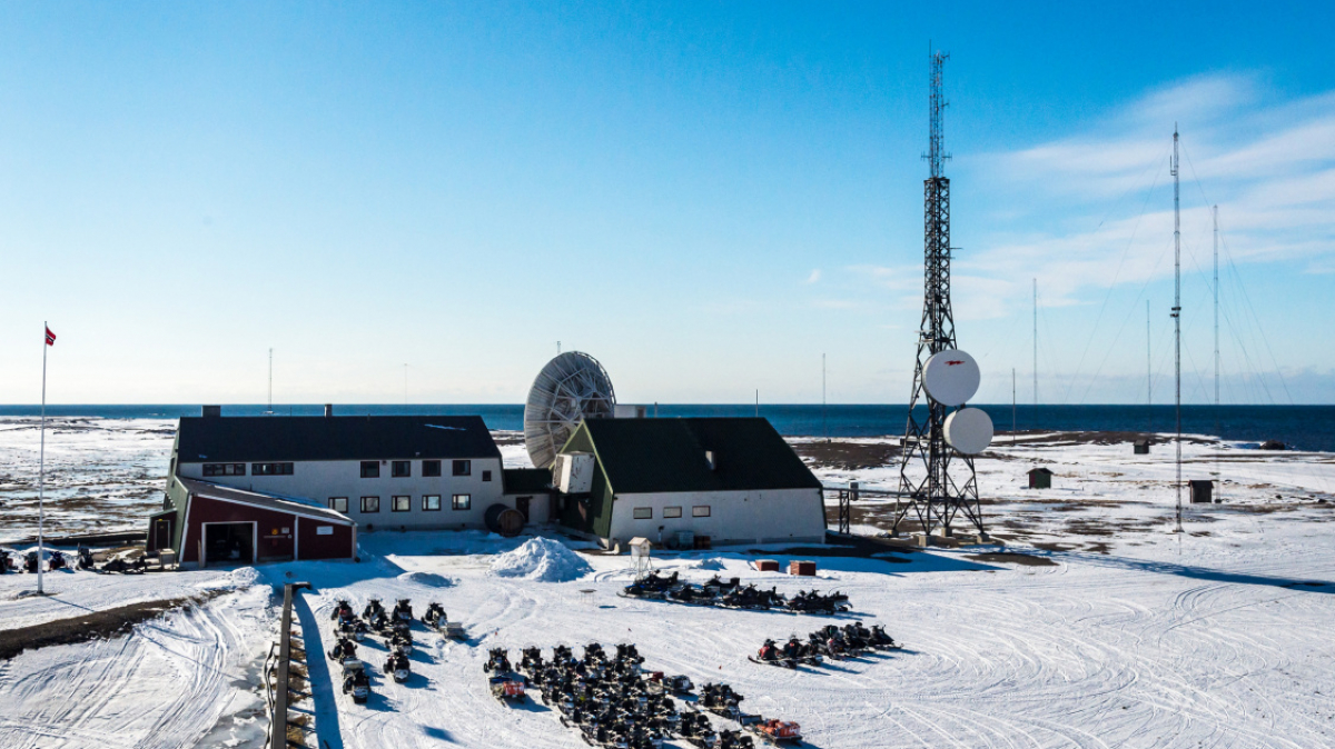 Фото: Сергей Доля