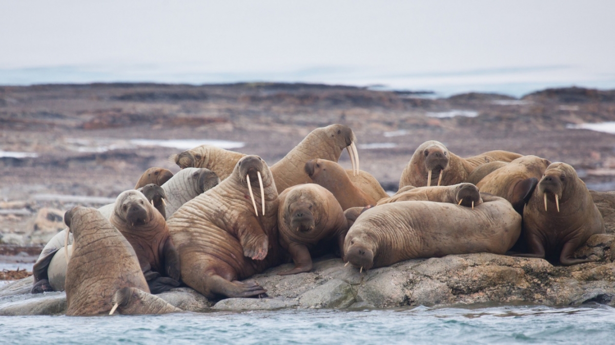 Фото из архива Клуба