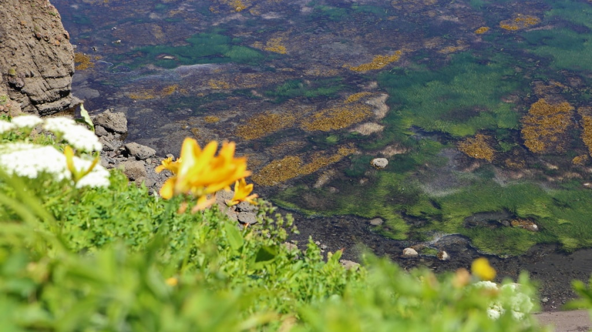 Фото из архива Клуба