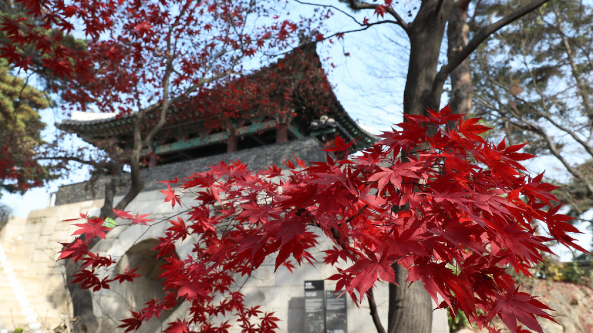 Источник фото: visualhunt.com