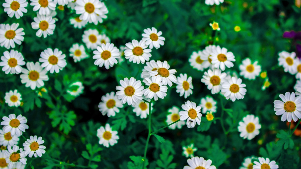 Фото: aisvri, unsplash.com