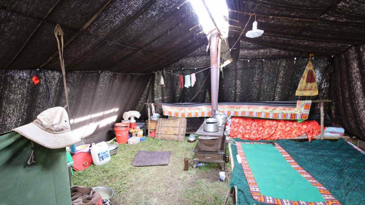 Фото нашего гида Дмитрия Эскина