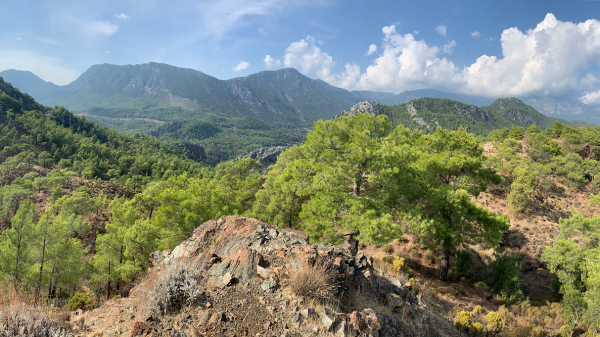 Фото: s_wh, visualhunt.com