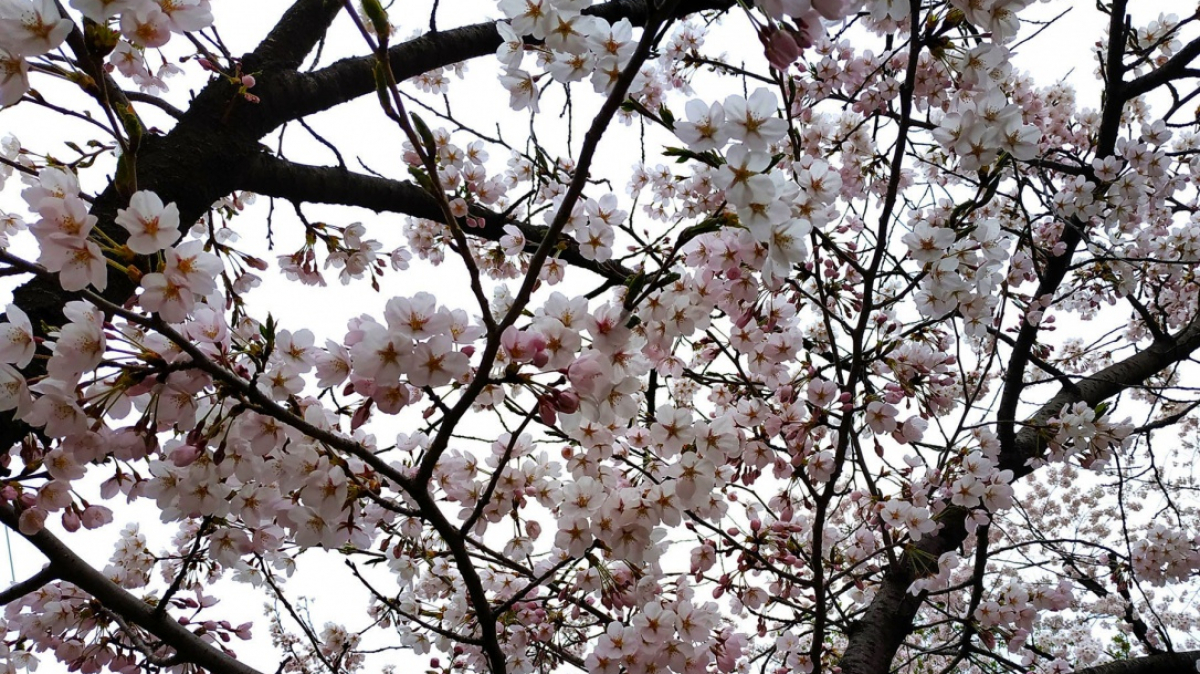 Фото нашего гида Лики Майстровой