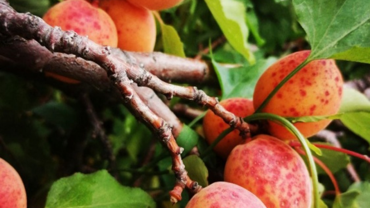 Фото наших Странников