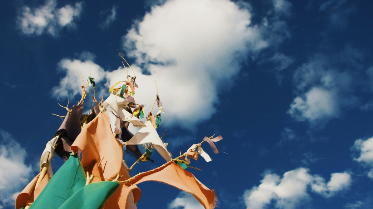 Фото: lydia lei, unsplash.com