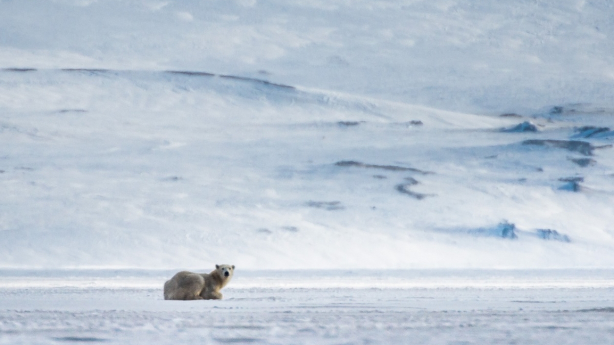 Фото: Сергей Доля