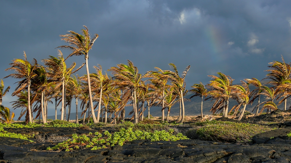 Автор: Rennett Stowe. Источник: visualhunt.com