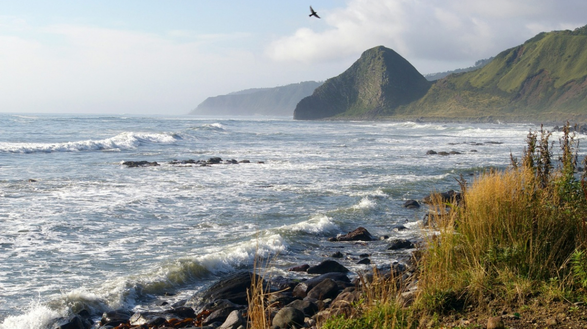 Фото: depositphotos.com