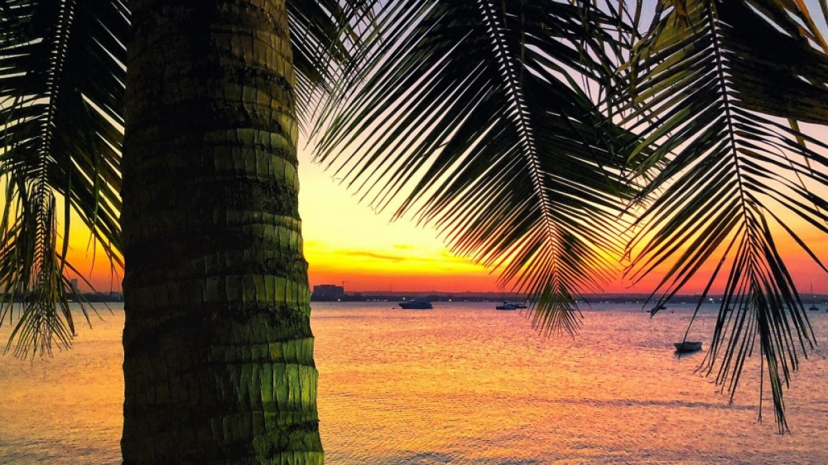 Фото: Rohan Reddy, unsplash.com